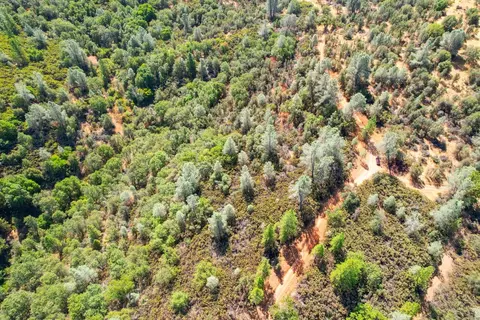 2101 Trail Gulch Rd, Placerville, CA 95667 photo 25