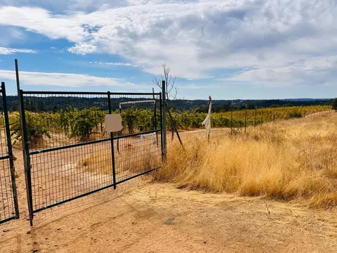 2101 Trail Gulch Rd, Placerville, CA 95667 photo 7