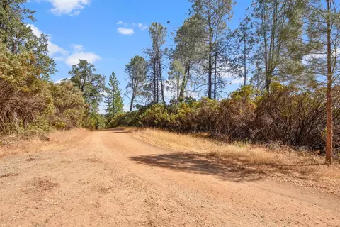 2101 Trail Gulch Rd, Placerville, CA 95667 photo 26