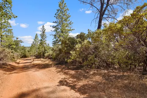 2101 Trail Gulch Rd, Placerville, CA 95667 photo 31