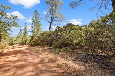 2101 Trail Gulch Rd, Placerville, CA 95667 photo 27