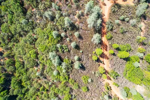 2101 Trail Gulch Rd, Placerville, CA 95667 photo 24