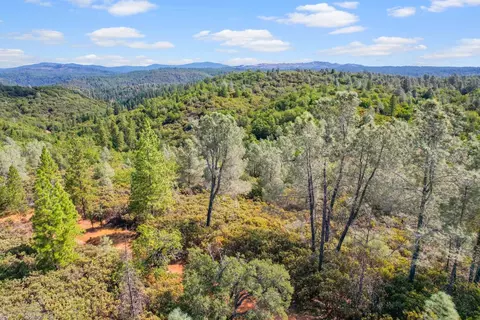 2101 Trail Gulch Rd, Placerville, CA 95667 photo 19