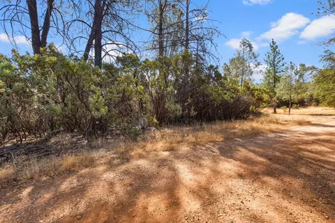 2101 Trail Gulch Rd, Placerville, CA 95667 photo 30