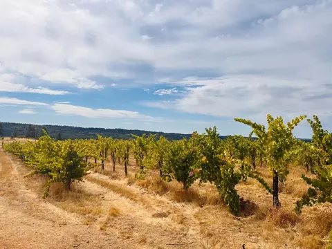 2101 Trail Gulch Rd, Placerville, CA 95667 photo 10
