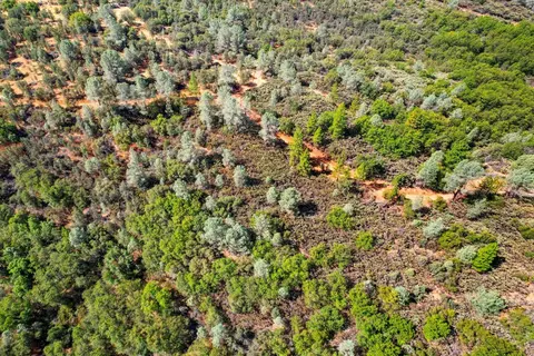 2101 Trail Gulch Rd, Placerville, CA 95667 photo 22