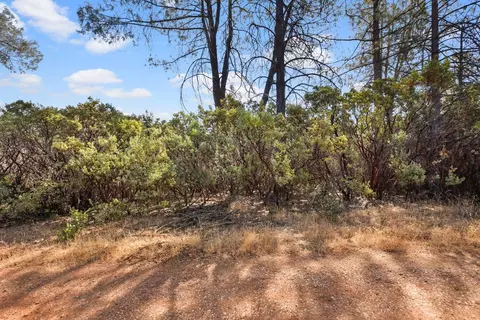 2101 Trail Gulch Rd, Placerville, CA 95667 photo 28
