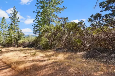 2101 Trail Gulch Rd, Placerville, CA 95667 photo 32