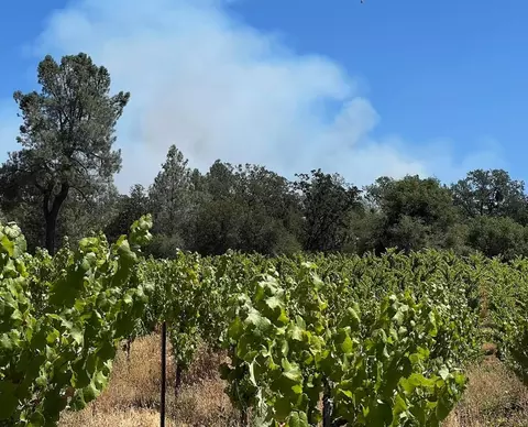 2101 Trail Gulch Rd, Placerville, CA 95667 photo 11