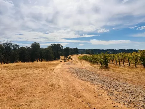 2101 Trail Gulch Rd, Placerville, CA 95667 photo 15