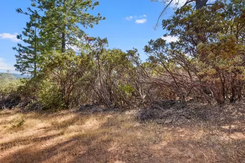 2101 Trail Gulch Rd, Placerville, CA 95667 photo 34