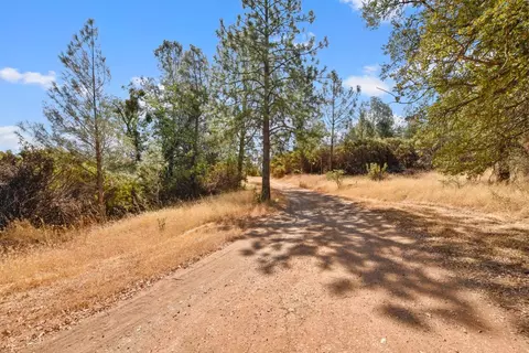 2101 Trail Gulch Rd, Placerville, CA 95667 photo 29
