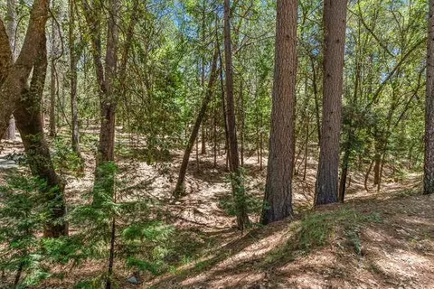 12850 Old Spring Rd, Pine Grove, CA 95665 photo 39