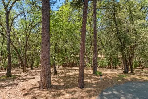 12850 Old Spring Rd, Pine Grove, CA 95665 photo 36