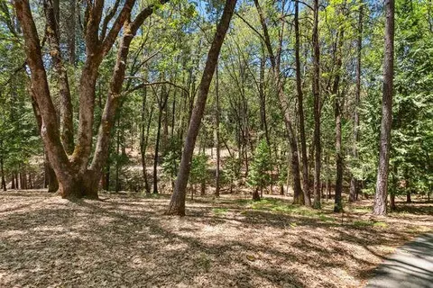 12850 Old Spring Rd, Pine Grove, CA 95665 photo 38
