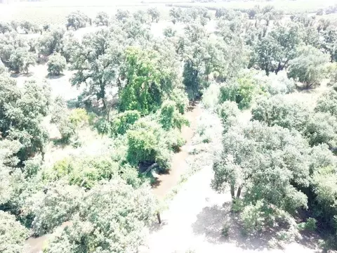 1308 Trails Way, Modesto, CA 95357 photo 5