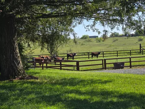 Exterior - 9856 La Clair Rd, Wilton, CA 95693 photo 2 of 28