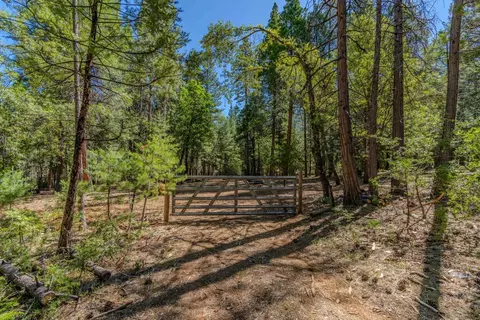19434 Cherokee Ln, Volcano, CA 95689 photo 1
