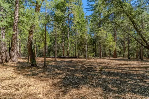 19434 Cherokee Ln, Volcano, CA 95689 photo 4