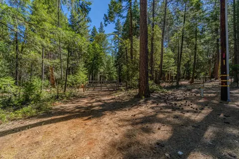 19434 Cherokee Ln, Volcano, CA 95689 photo 2