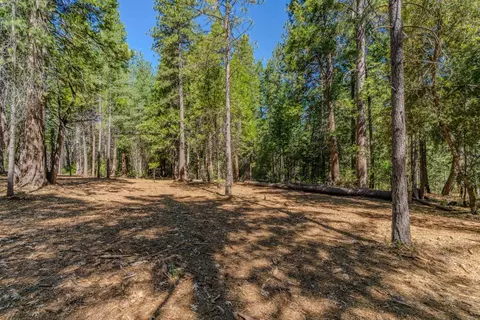 19434 Cherokee Ln, Volcano, CA 95689 photo 25