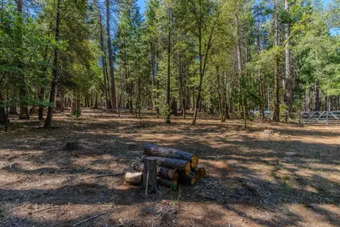 19434 Cherokee Ln, Volcano, CA 95689 photo 14