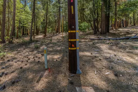 19434 Cherokee Ln, Volcano, CA 95689 photo 11