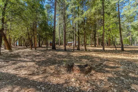 19434 Cherokee Ln, Volcano, CA 95689 photo 26