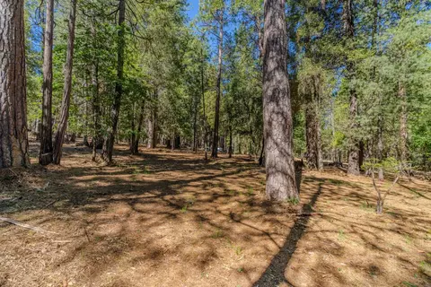 19434 Cherokee Ln, Volcano, CA 95689 photo 17