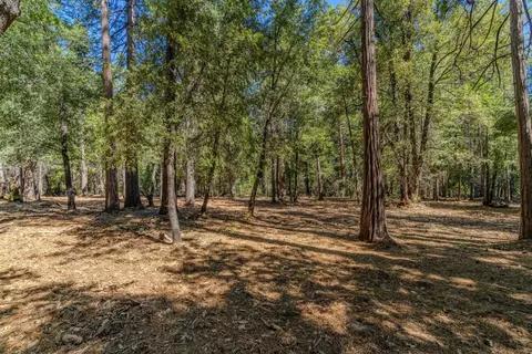 19434 Cherokee Ln, Volcano, CA 95689 photo 23