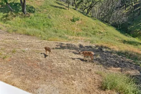 2525 Indian Wells Rd, Placerville, CA 95667 photo 41