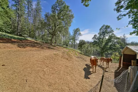 2525 Indian Wells Rd, Placerville, CA 95667 photo 32