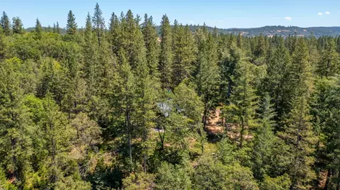 View/Area - 22400 Clute Canyon Rd, Volcano, CA 95689 photo 1 of 4