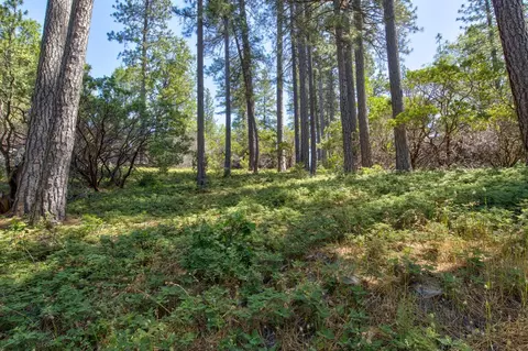 Exterior - 22400 Clute Canyon Rd, Volcano, CA 95689 photo 16 of 34