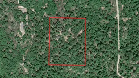 Other - 22400 Clute Canyon Rd, Volcano, CA 95689 photo 12 of 12