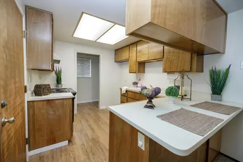 1320 Jarrell Ct, Modesto, CA 95355 photo 11