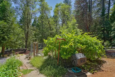 5360 Robert Rd, Pollock Pines, CA 95726 photo 50
