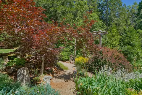 5360 Robert Rd, Pollock Pines, CA 95726 photo 54