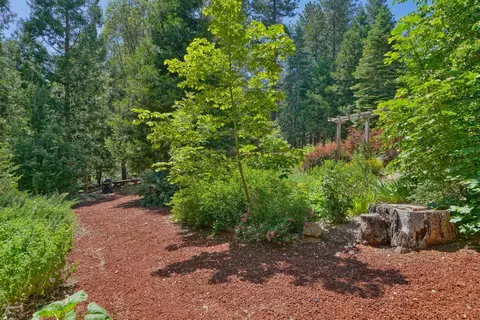 5360 Robert Rd, Pollock Pines, CA 95726 photo 56