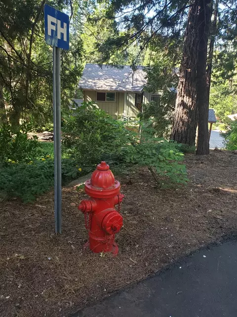 5360 Robert Rd, Pollock Pines, CA 95726 photo 67