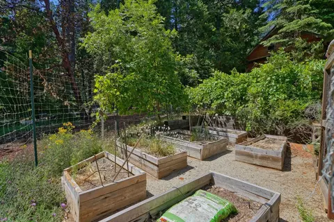 5360 Robert Rd, Pollock Pines, CA 95726 photo 51