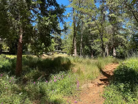 11966 E Bennett Rd, Grass Valley, CA 95945 photo 67