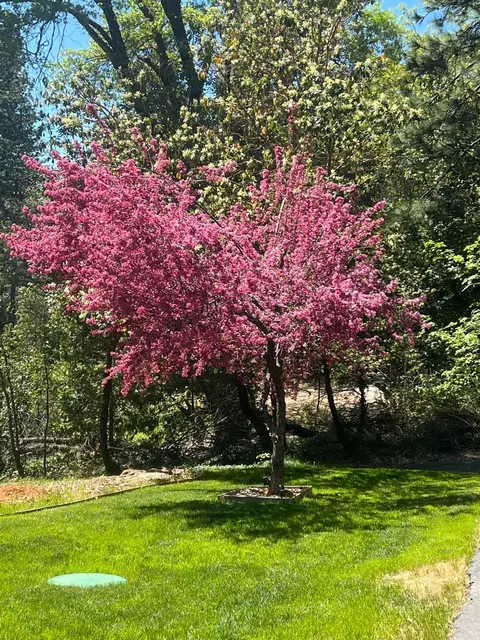 11966 E Bennett Rd, Grass Valley, CA 95945 photo 53