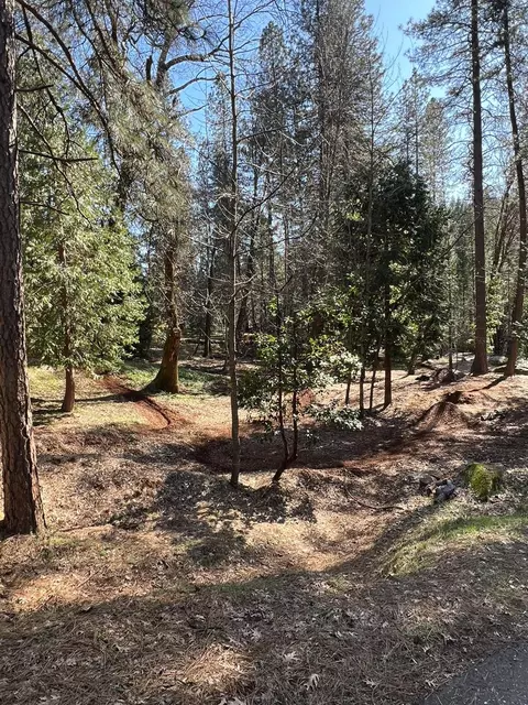 11966 E Bennett Rd, Grass Valley, CA 95945 photo 64