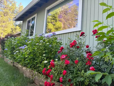 11966 E Bennett Rd, Grass Valley, CA 95945 photo 40