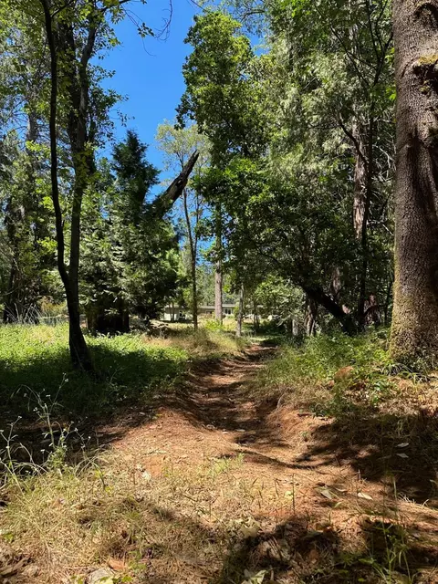 11966 E Bennett Rd, Grass Valley, CA 95945 photo 66