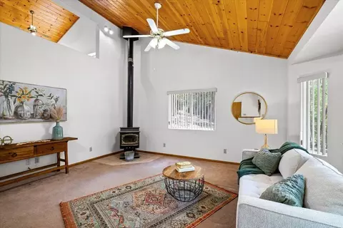 Other - 14360 Pine Cone Ln, Pine Grove, CA 95665 photo 1 of 10