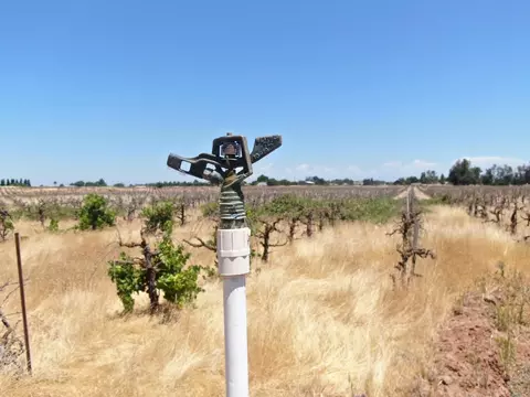11501 E Jahant Rd, Acampo, CA 95220 photo 3