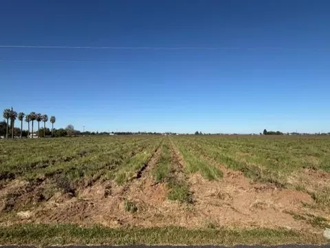 11501 E Jahant Rd, Acampo, CA 95220 photo 4