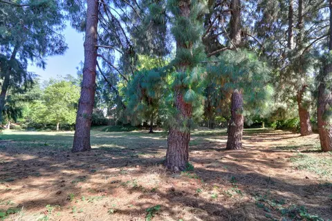 720 Barcelona, Davis, CA 95616 photo 46